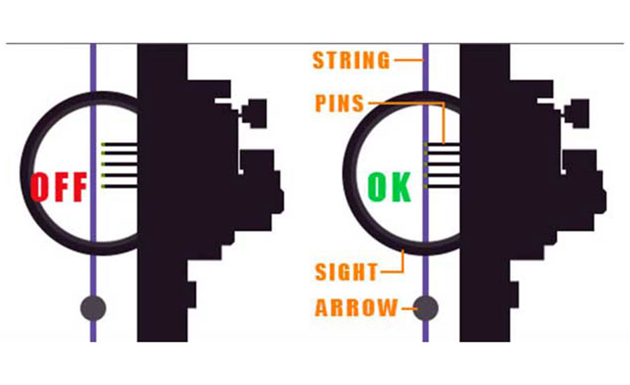 Easiest Way to Sight in a Bow