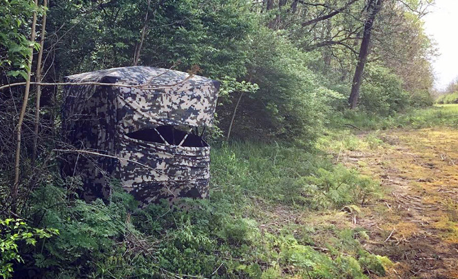 Best Ground Blind For Bowhunting